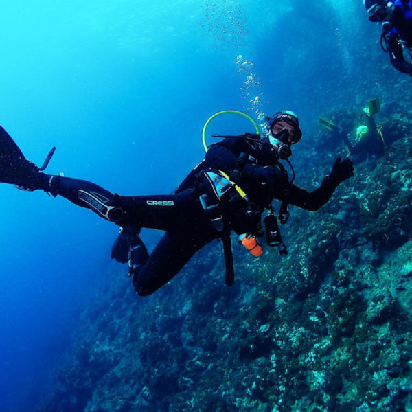 Postani PADI Ronioc Hippocampus Ronilački Centar Istra